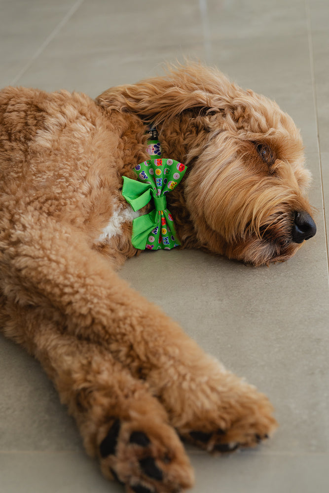 Groodle in Green Donut Animals Print Dog Sailor Bow Tie Australia Pet Supplies Australia Dog Accessories Pet Accessories