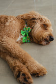 Groodle in Green Donut Animals Print Dog Sailor Bow Tie Australia Pet Supplies Australia Dog Accessories Pet Accessories