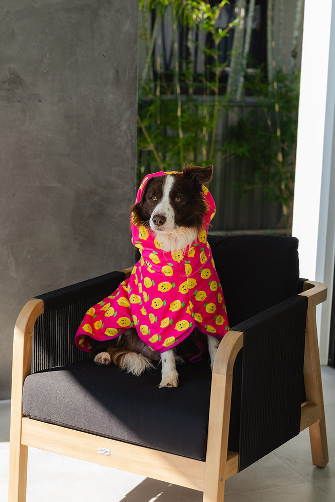 
                  
                    Dog Robe | Happy Lemons
                  
                