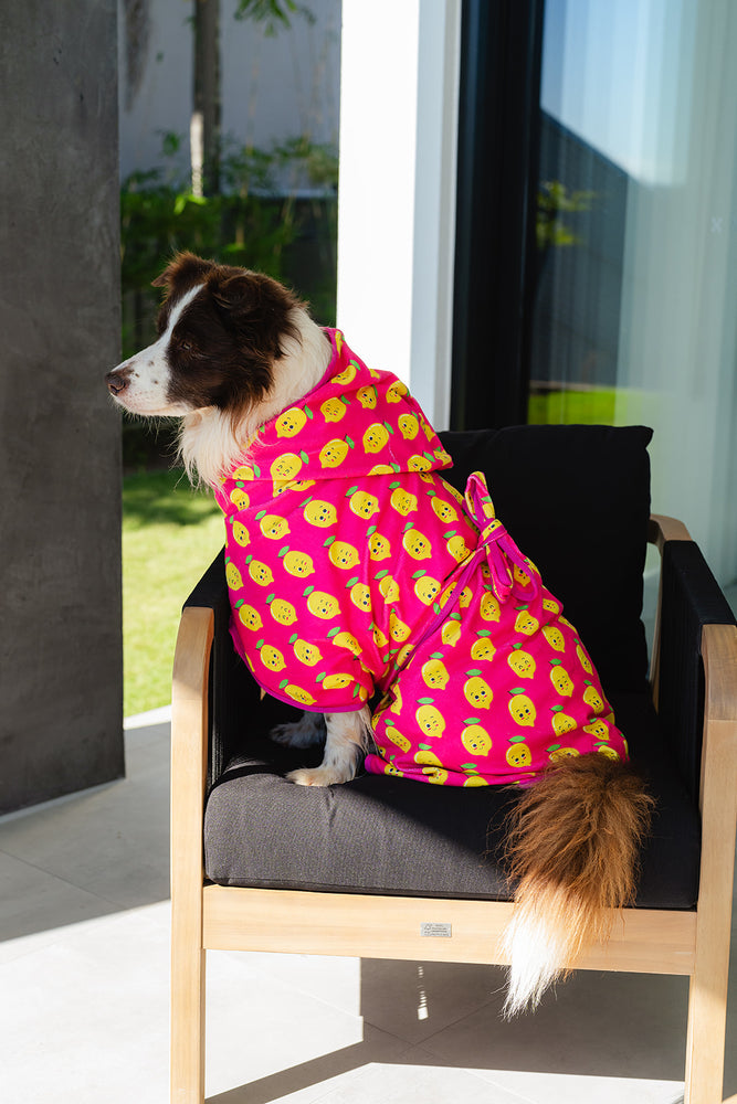 
                  
                    Dog Robe | Happy Lemons
                  
                