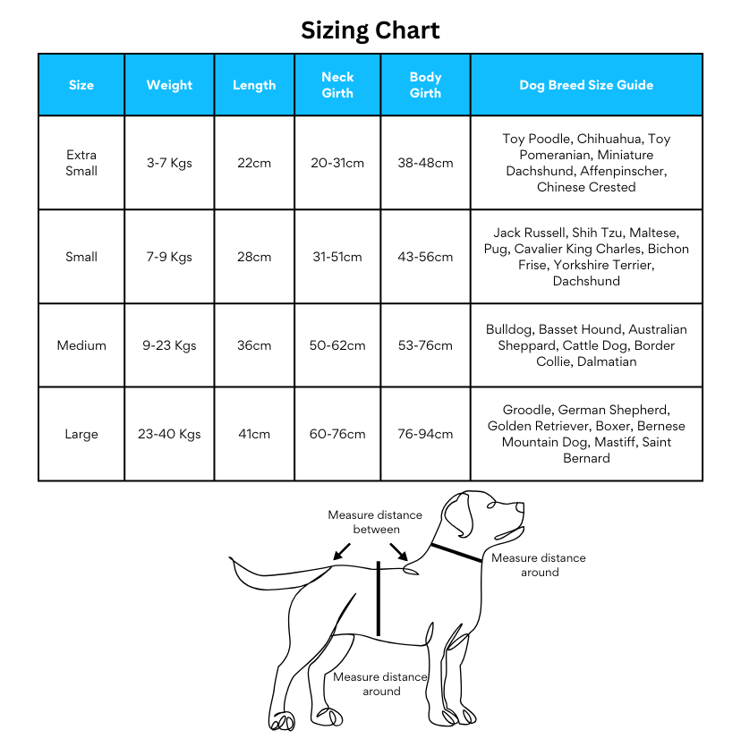 Surf Dogs | Spoil Your Fur Baby Bundle