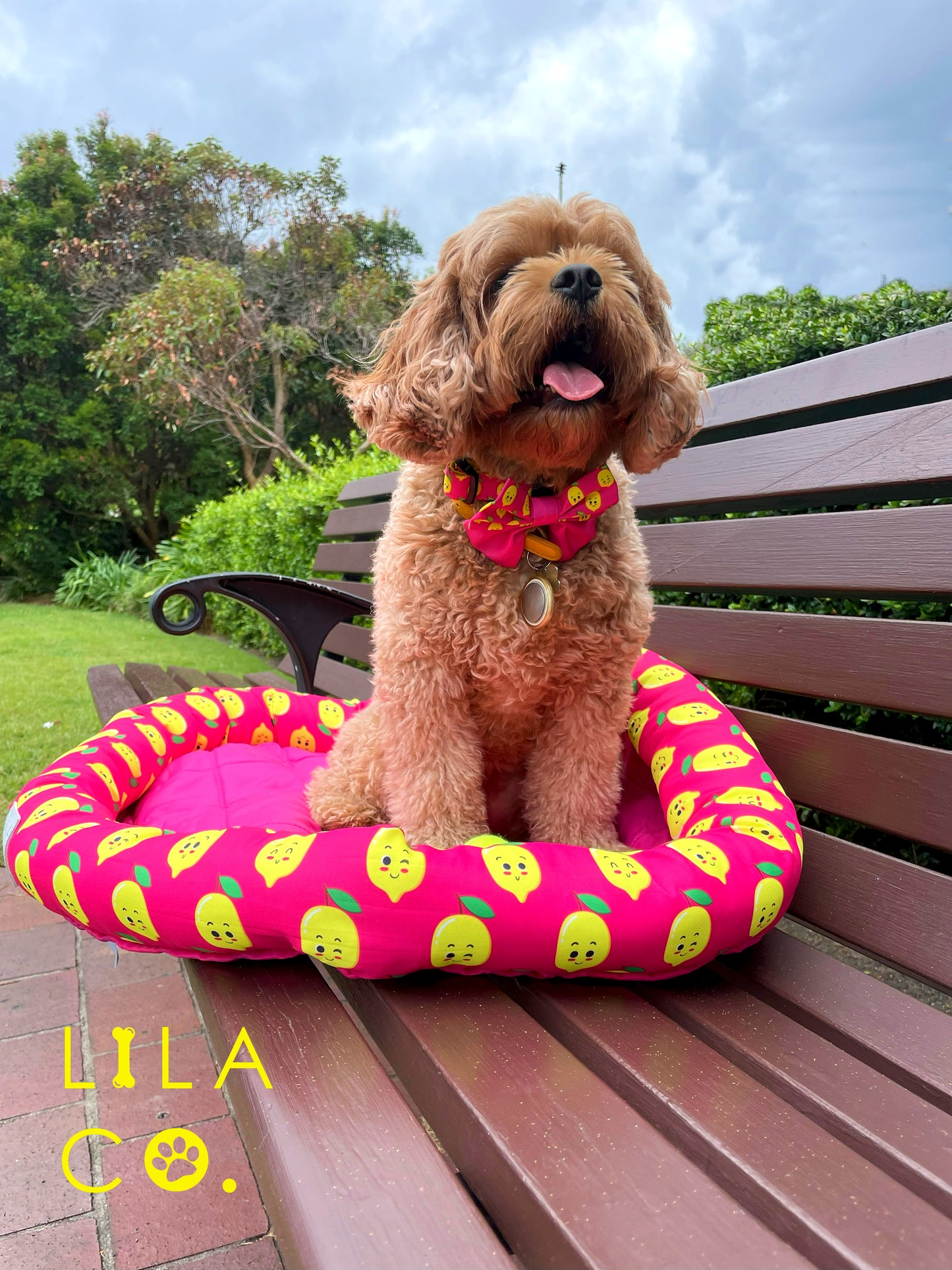 Cavoodle in Pink Happy Lemons Print Cooling Dog and Pet Bed Outdoor Dog Bed and Dog Collar Dog Bow Tie Australia Pet Supplies Dog Accessories Australia