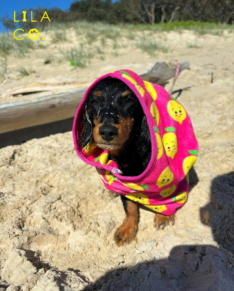 
                  
                    Roxy Mini Dachshund Small Happy Lemons Dog Robe
                  
                