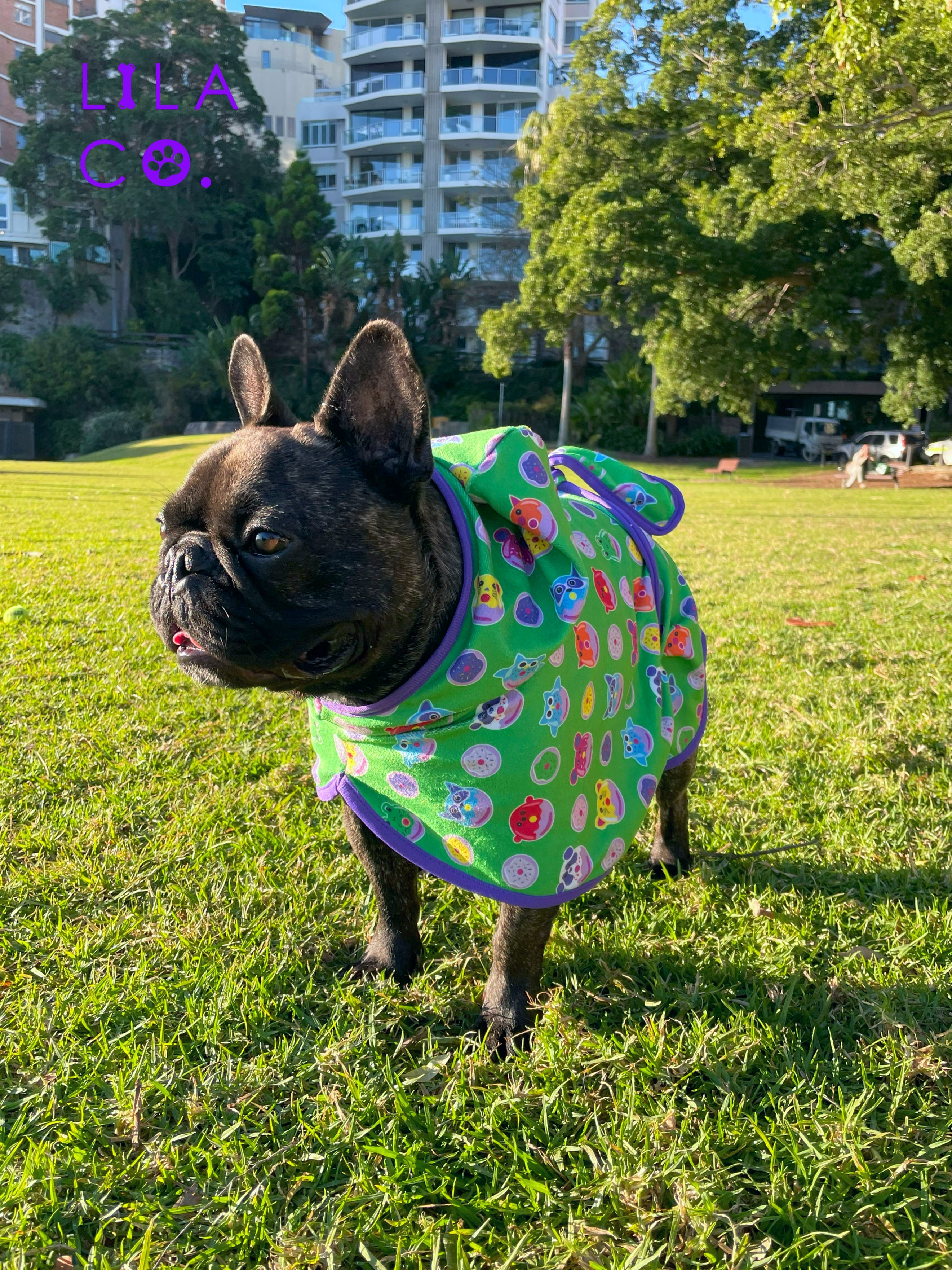 French Bulldog in Green Donut Animals Print Dog Robe Microfibre Dog Robe Australia Pet Supplies Australia Dog Accessories Pet Accessories