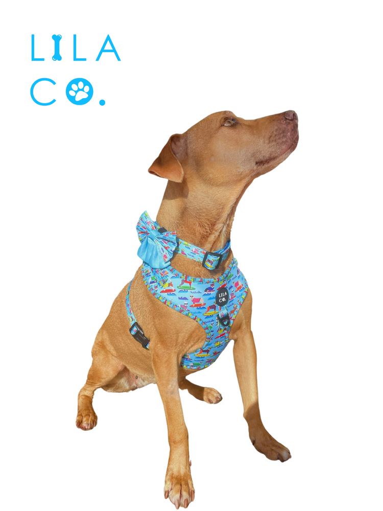 
                  
                    Blue Surf Dogs Print Sailor Bow Tie Staffy Staffie  Australia Pet Supplies Australia Dog Accessories Pet Accessories 
                  
                