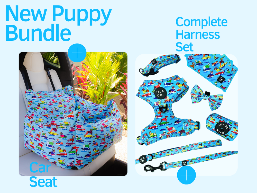 Surf Dogs | New Puppy Bundle