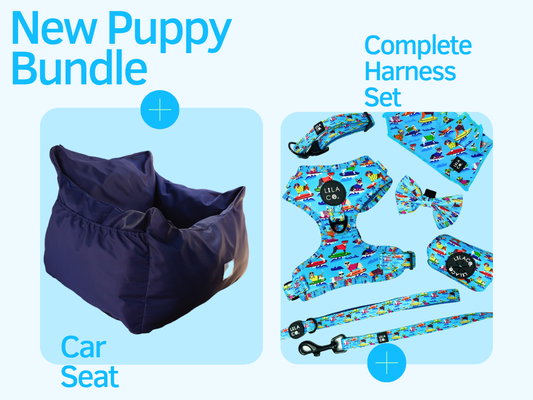 Surf Dogs | New Puppy Bundle