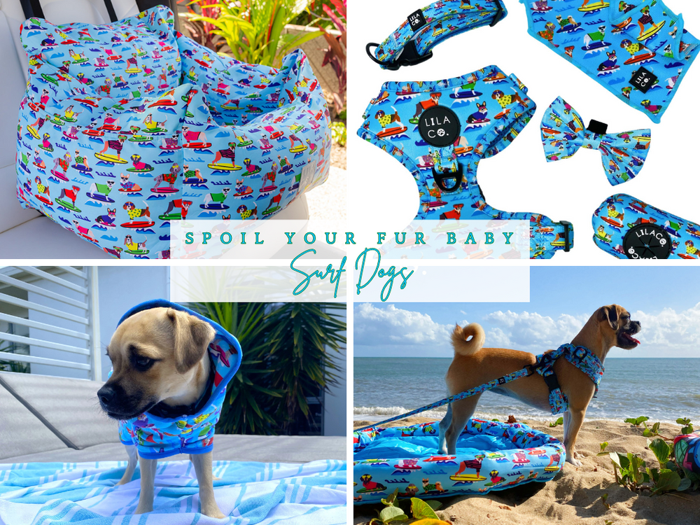 Surf Dogs | Spoil Your Fur Baby Bundle