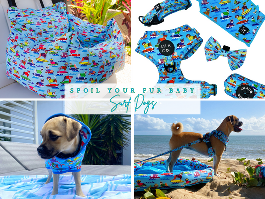 Blue Surf Dogs Ultimate Spoil Your Fur Baby Bundle - Dog Robe, Car Seat, Cooling Pet Bed, Complete Harness Set