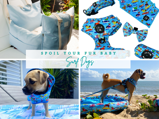 Surf Dogs | Spoil Your Fur Baby Bundle