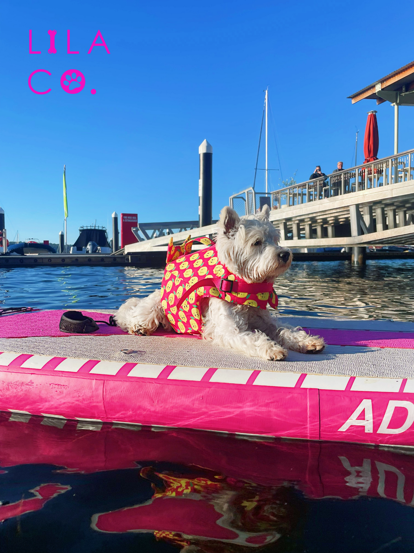 Westie in Pink Happy Lemons Print Dog Life Jacket Float Vest Australia Pet Supplies