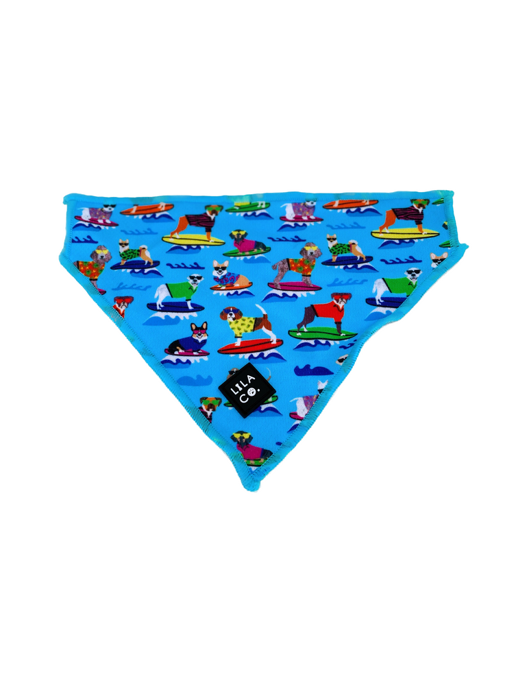 
                  
                    Blue Surf Dogs Dog Collar Bandana Dog Bandana Cat Bandana  Australia Pet Supplies Australia Dog Accessories Pet Accessories 
                  
                