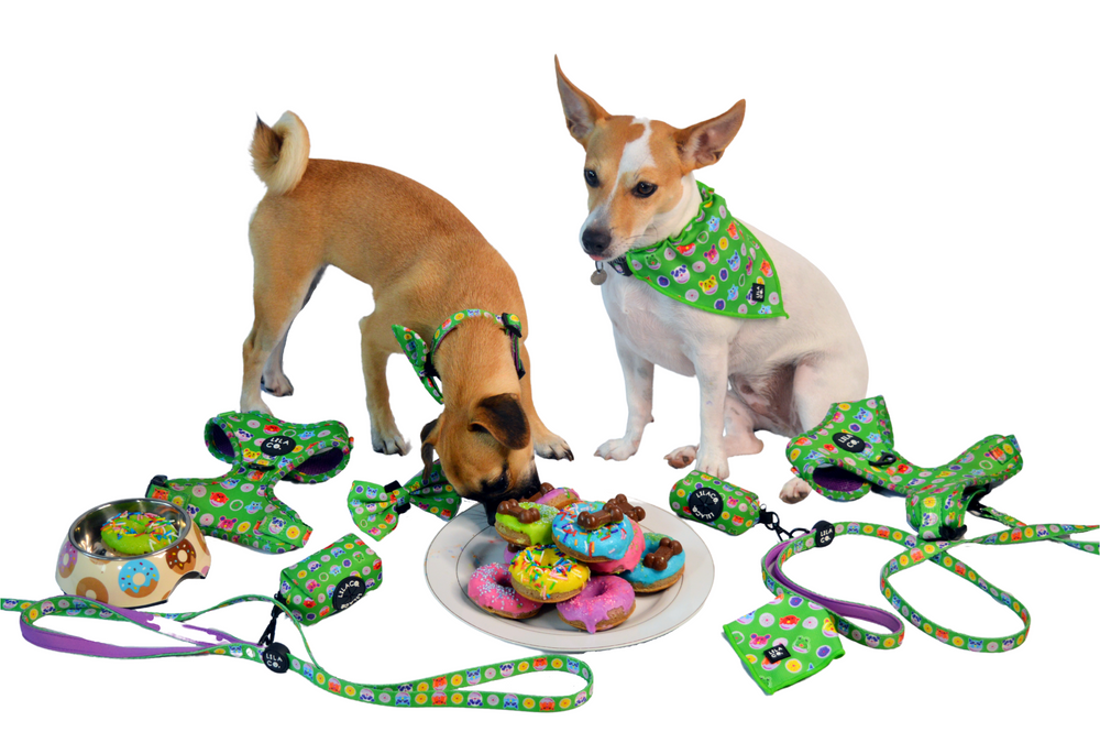 Donut Characters Green Dog Leash Pug and Jack Russell Terrier Cat Leash  Australia Pet Supplies Australia Dog Accessories Pet Accessories 